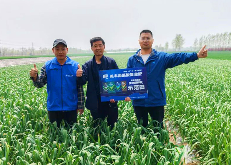 bw必威西汉姆联官方网站肥料助力中原蒜乡喜丰收
