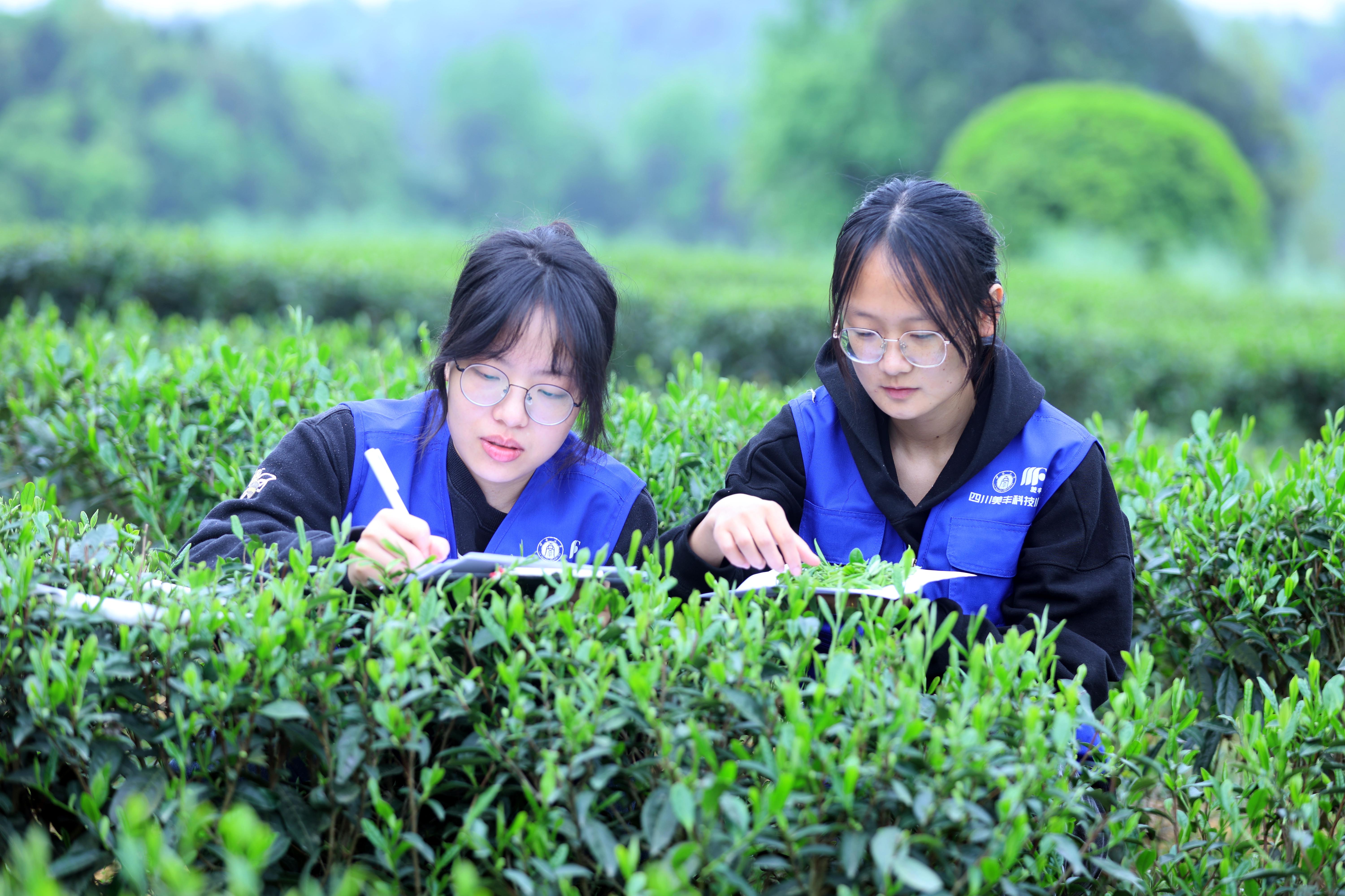 bw必威西汉姆联官方网站共建的两所科技小院获评优秀