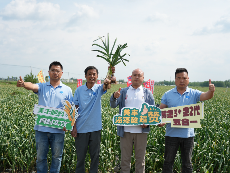 夏攻行动：bw必威西汉姆联官方网站护航夏粮丰产丰收