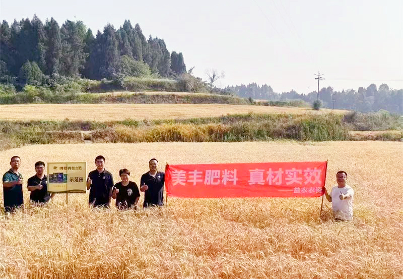 夏攻行动：bw必威西汉姆联官方网站方案助力小麦增收