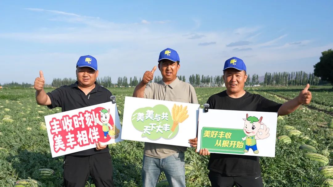 bw必威西汉姆联官方网站肥助力硒砂瓜亩产过万斤